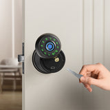 Graffiti Bluetooth smart fingerprint password wooden door ball lock