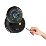 Graffiti Bluetooth smart fingerprint password wooden door ball lock